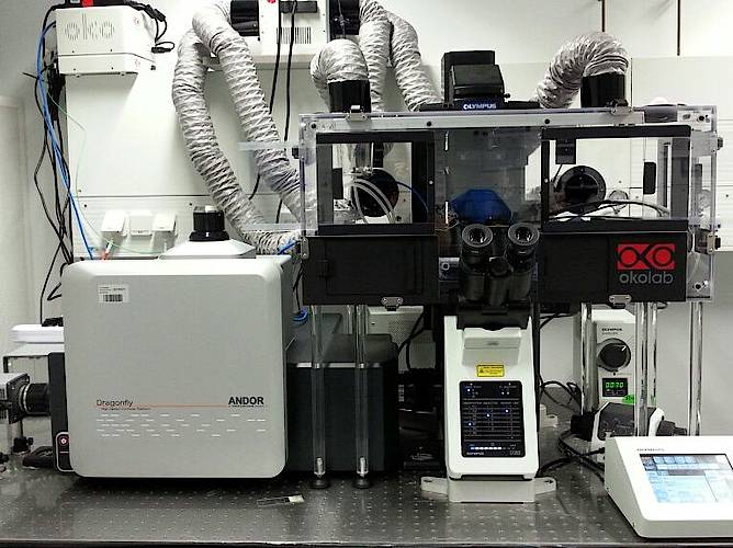 Dragonfly spinning disc system, front view