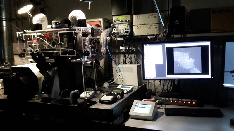 SD4 - Andor Spinning Disc 