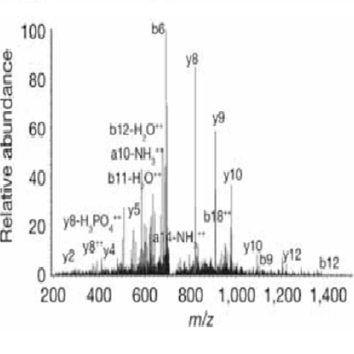 Fig.1 taken from Galli et al, 2011.
