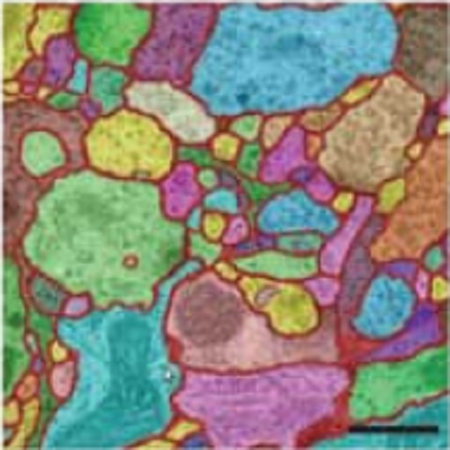 Fig.3 taken from Schindelin et al, 2012.